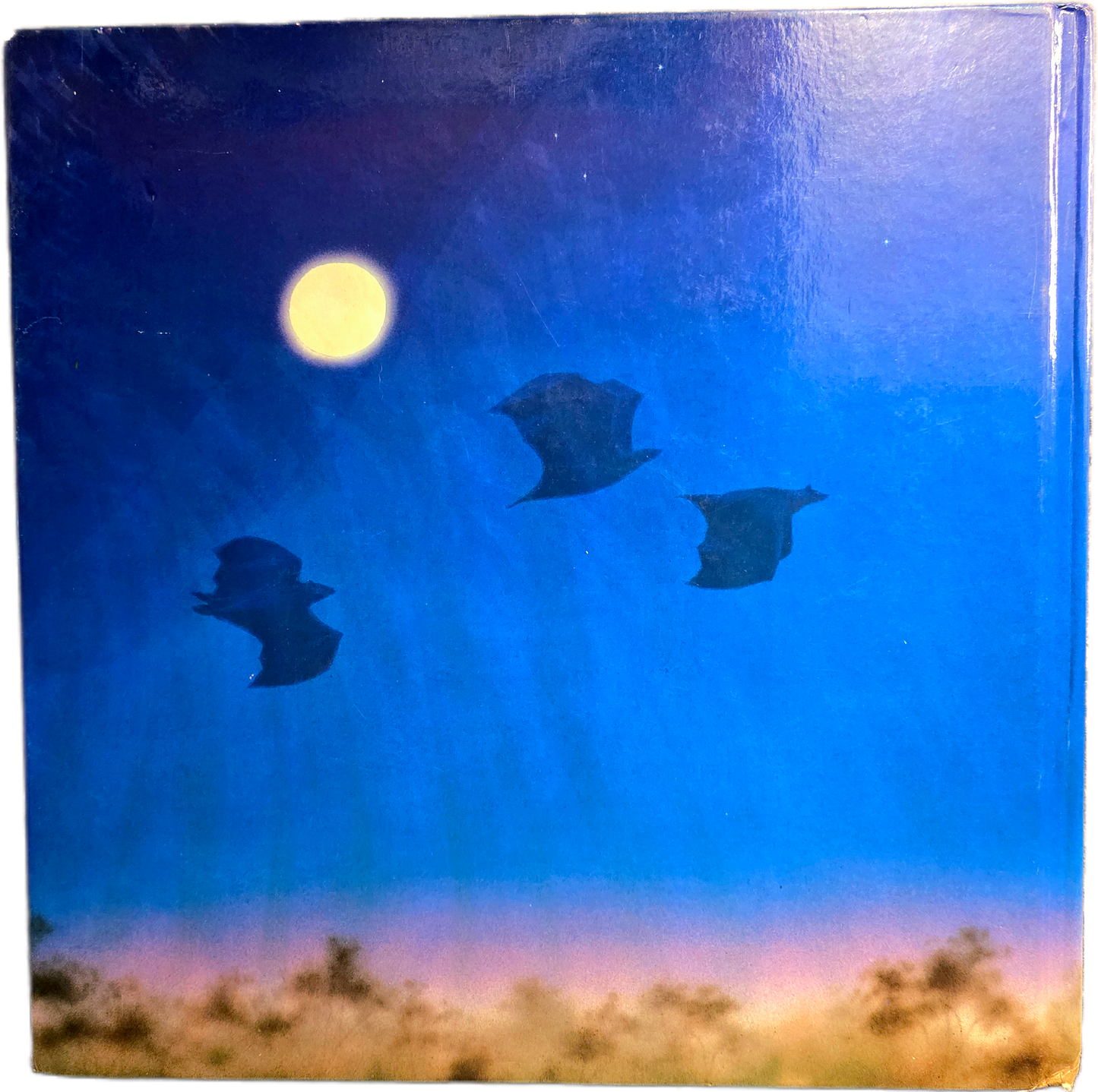 Stellaluna by Janell Cannon (1993) Hardcover Book