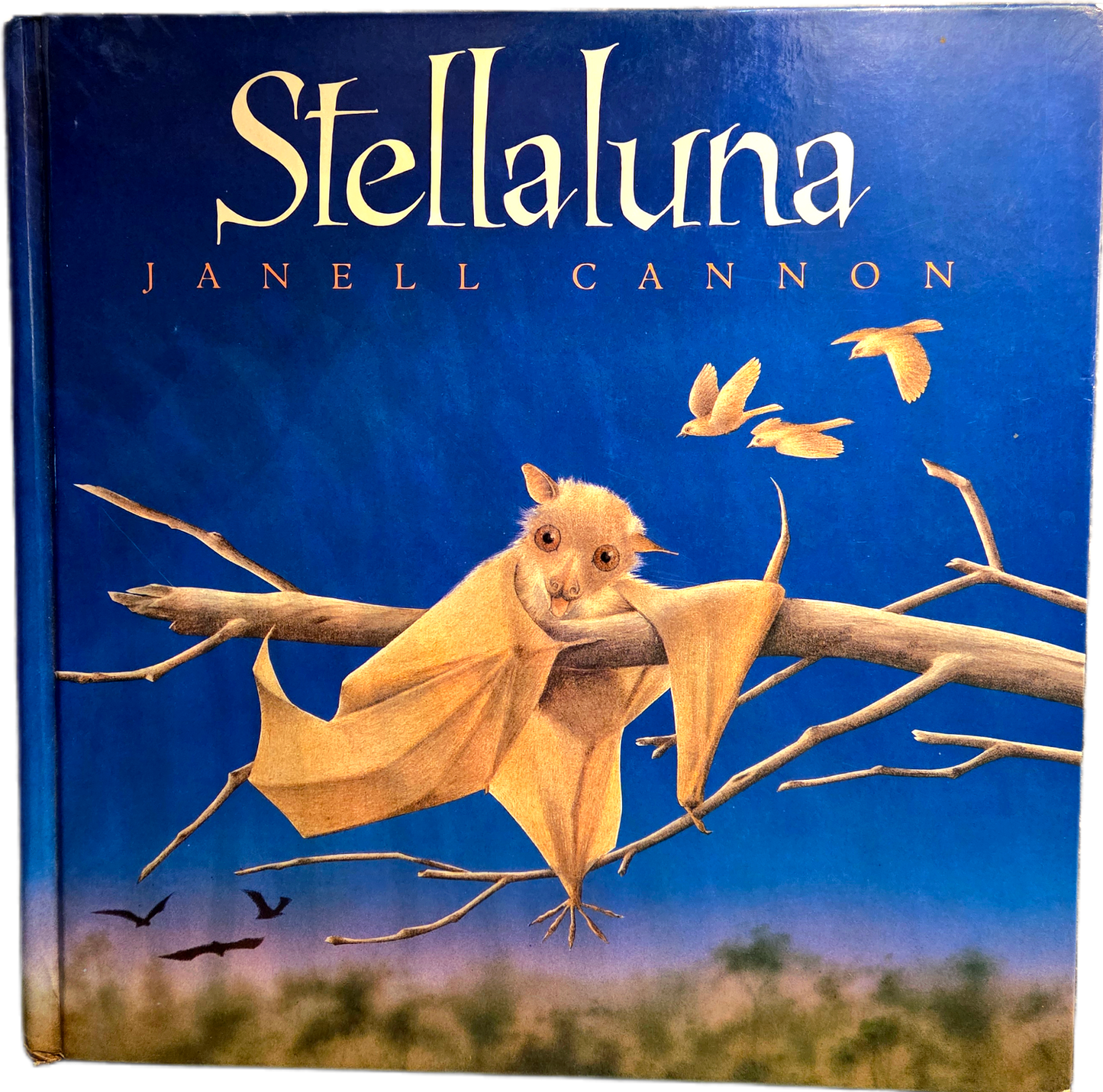Stellaluna by Janell Cannon (1993) Hardcover Book