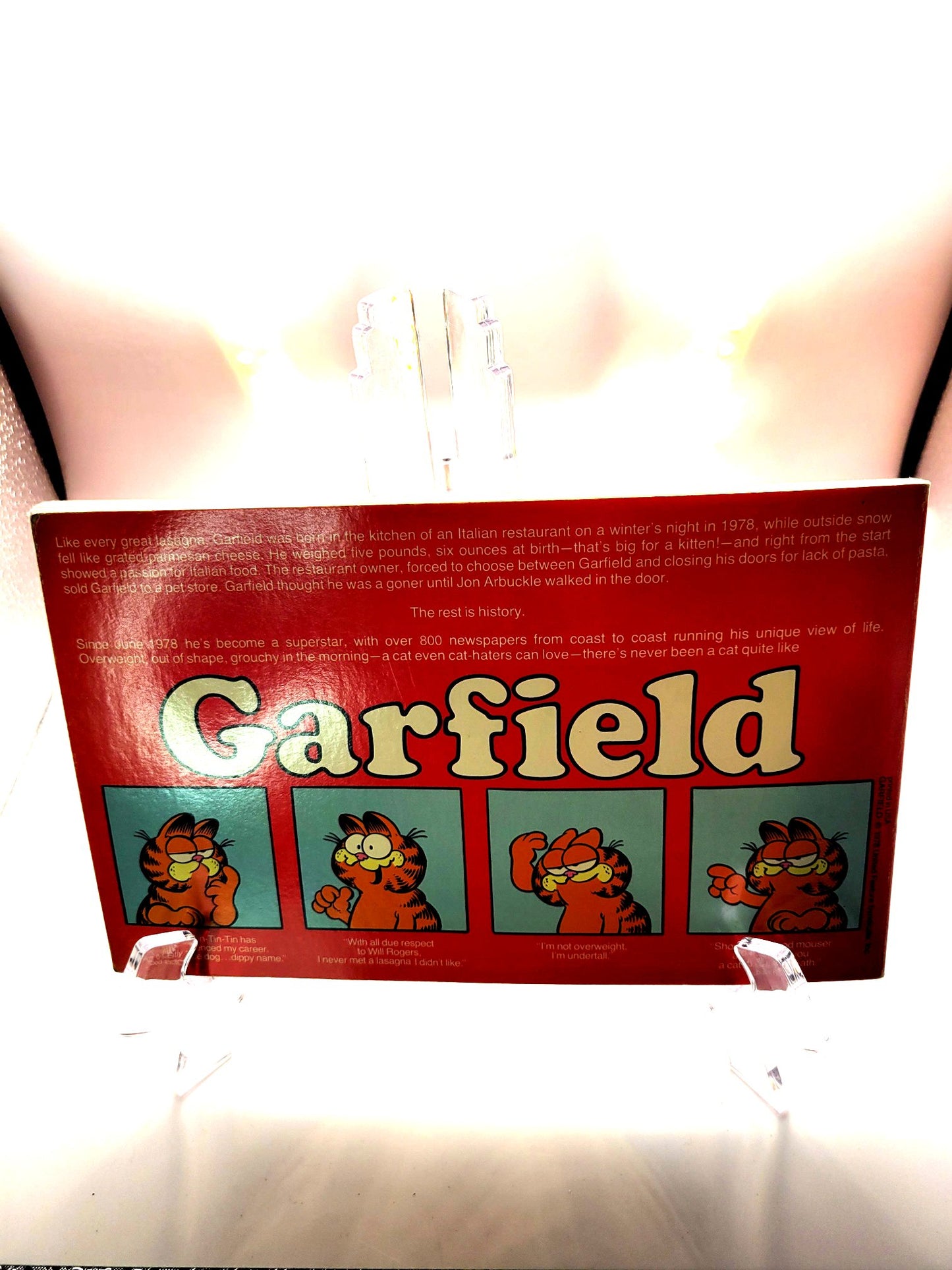 Garfield At Large (1978): His First Book